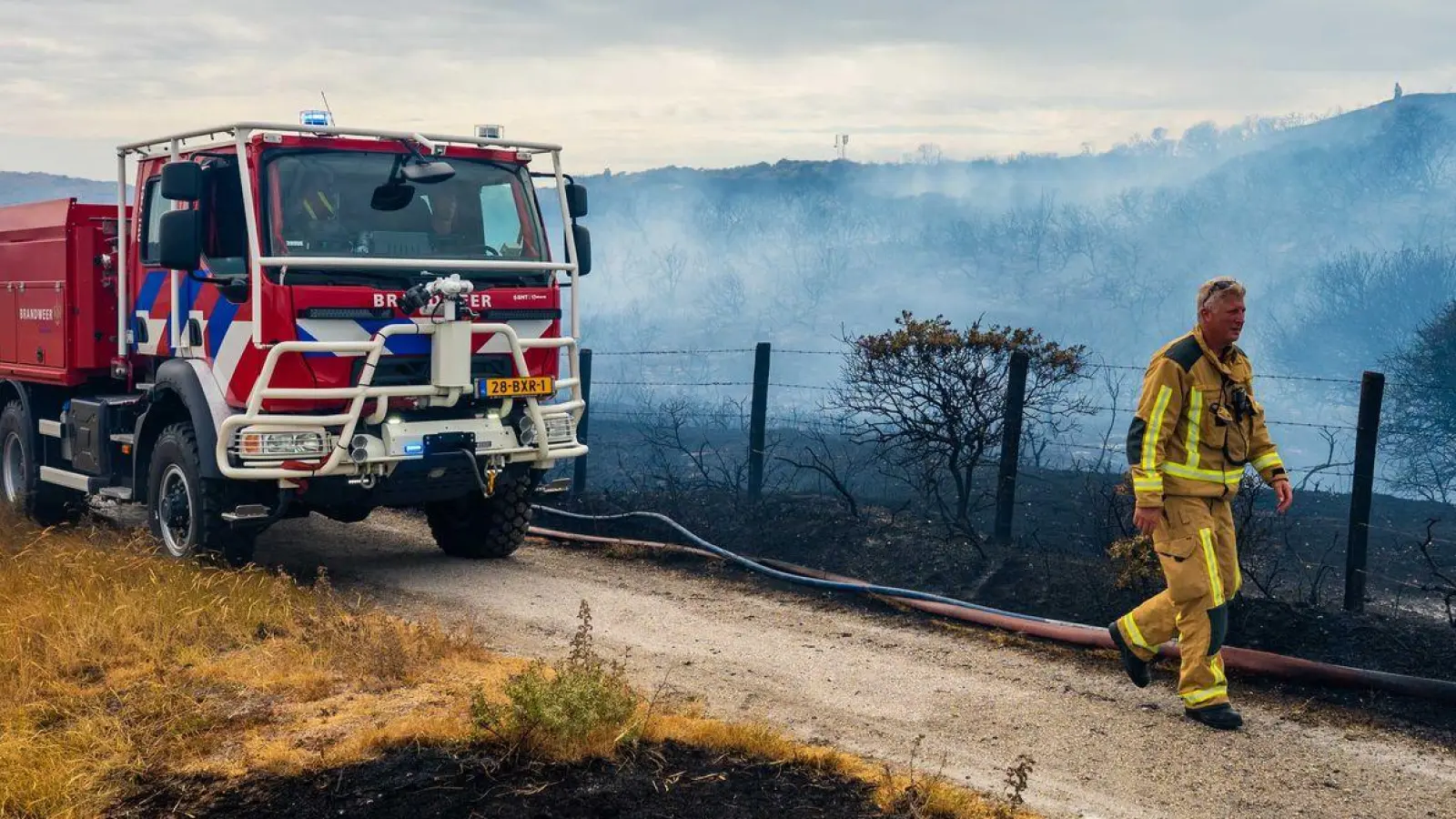 In den Dünen bei Wassenaar ist ein Feuer ausgebrochen. (Foto: Josh Walet/ANP/dpa)