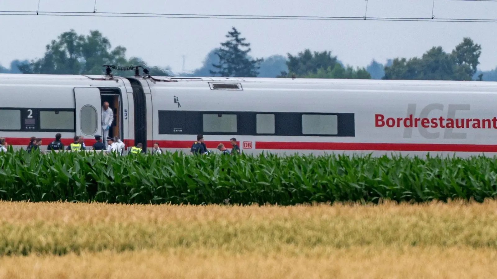 Für den mutmaßlichen Axt-Angreifer aus einem ICE in Niederbayern hat die Staatsanwaltschaft einen Antrag auf dauerhafte Unterbringung in einem psychiatrischen Krankenhaus gestellt. (Archivbild) (Foto: Armin Weigel/dpa)