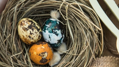 Keine Zeit zu basteln? Einfach ein wenig Heu aus dem Tierbedarf zum Nest drapieren. (Foto: Christin Klose/dpa-tmn/dpa)