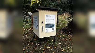 Die erste „Tierklappe“ der Schweiz - das Konzept ist nicht unumstritten. (Foto: -/Stiftung Tierklappe/dpa)