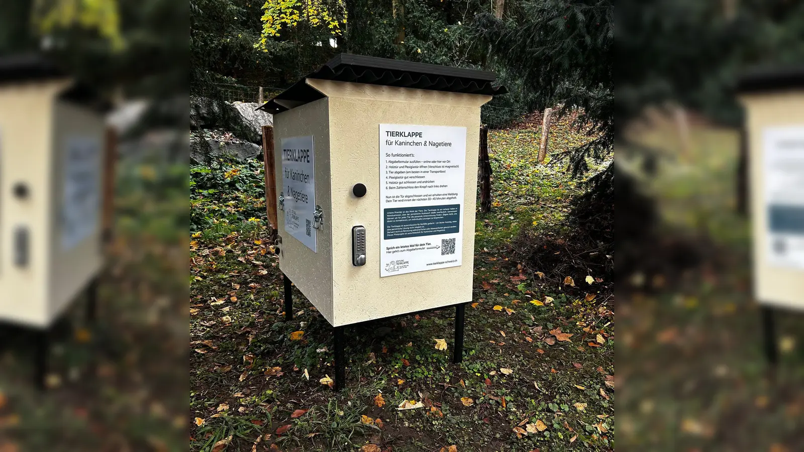 Die erste „Tierklappe“ der Schweiz - das Konzept ist nicht unumstritten. (Foto: -/Stiftung Tierklappe/dpa)