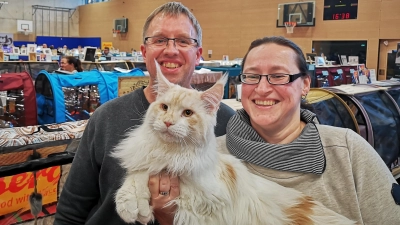 Maine-Coon-Kater „King Size“ wiegt mit neun Monaten bereits rund acht Kilogramm. Das Halterpaar Peter Brunswicker und Dorit Lavendt war das erste Mal mit ihm bei einer Ausstellung. (Foto: Jürgen Binder)