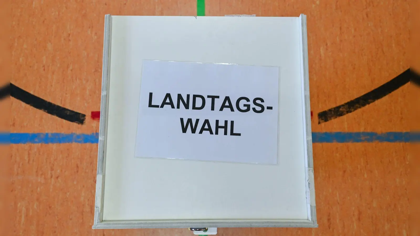 Am 20. September wird in Mecklenburg-Vorpommern ein neuer Landtag gewählt.   (Foto: Patrick Pleul/dpa)