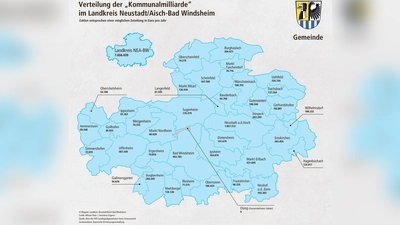 Nach den Vorstellungen der SPD soll die Kommunalmilliarde je nach Einwohnerzahl auf die Städte und Gemeinden verteilt werden. (Grafik: FLZ/Miriam Theis, Annalena Engerer)
