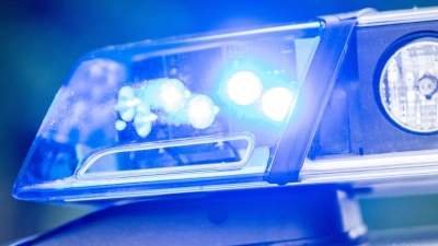 Die Polizei nahm einen Verdächtigen nach dem Diebstahl und den Schlägen fest. (Symbolbild) (Foto: Lino Mirgeler/dpa)