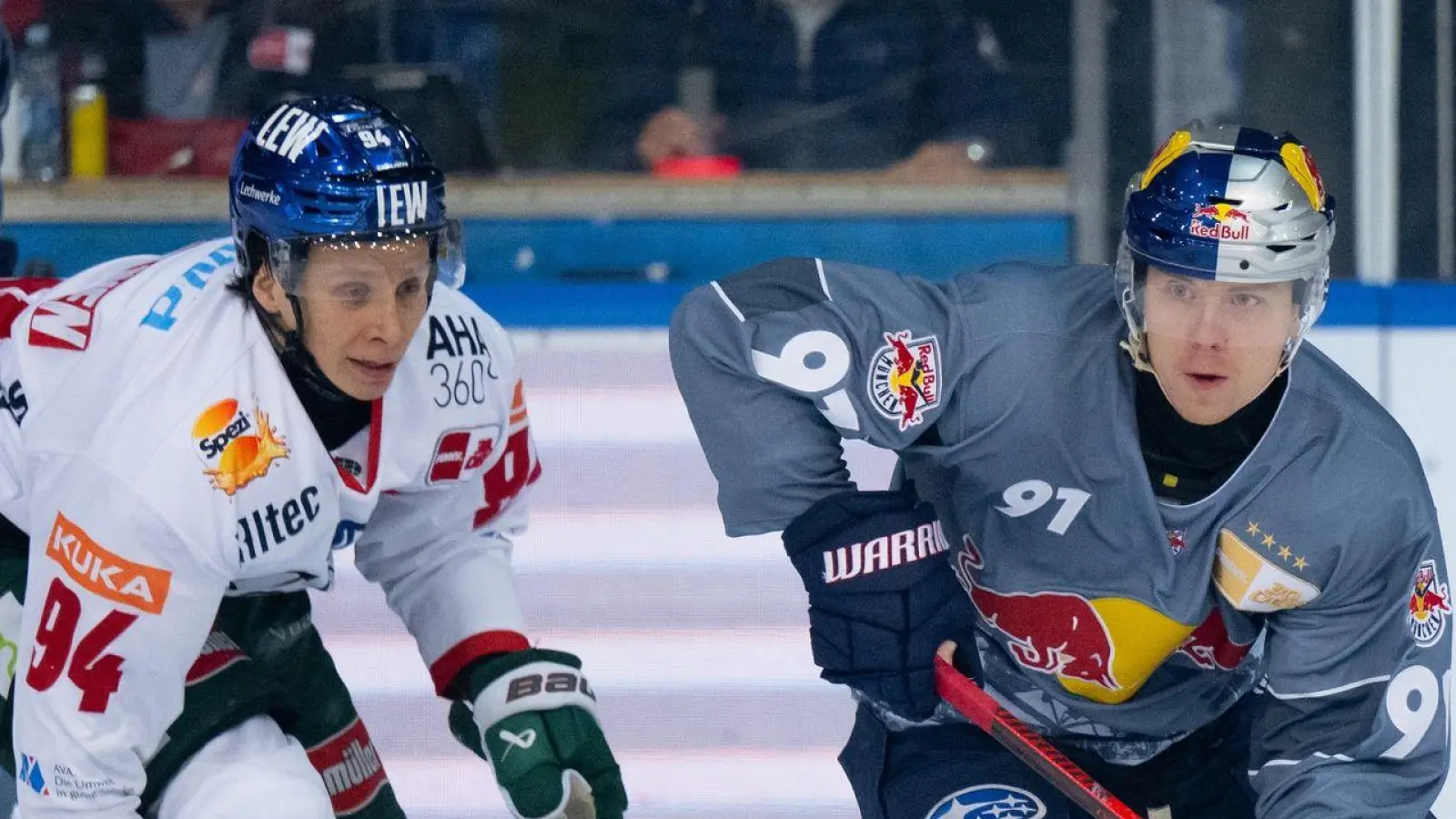 Filip Varejcka (r) von München und Anrei Hakulinen von Augsburg kämpfen um den Puck. Augsburg verlängert den Vertrag von Hakulinen. (Foto: Sven Hoppe/dpa)