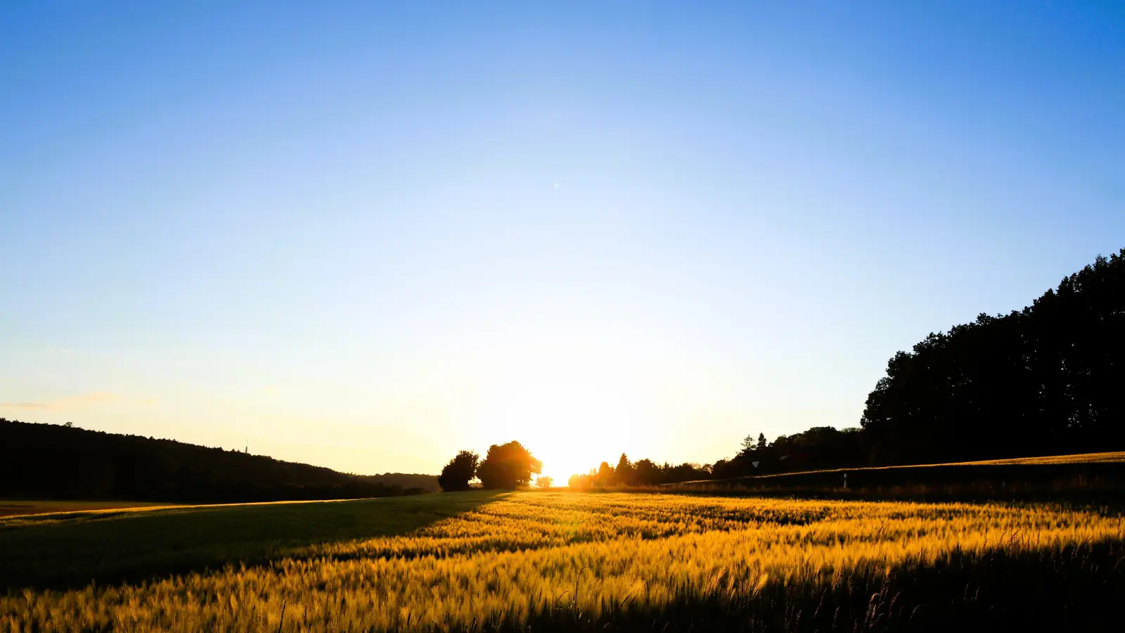 Letzte Sonnenstrahlen - gesehen östlich von Eyb. (Foto: Thomas Göppner)