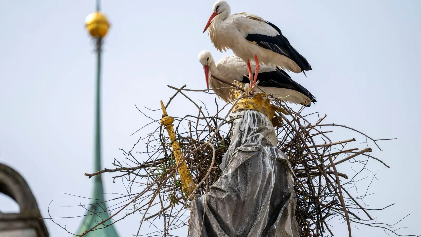 Die Störche wollen auf dem Haupt der Mutter Gottes ihr Nest bauen. (Foto: Peter Kneffel/dpa)