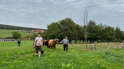 Karlheinz Heß (rechts) und sein Sohn Karlheinz machten sich zusammen mit ihren schottischen Hochlandrindern auf den Weg von der Sommer- zur Winterweide. (Foto: Friedrich Zinnecker)