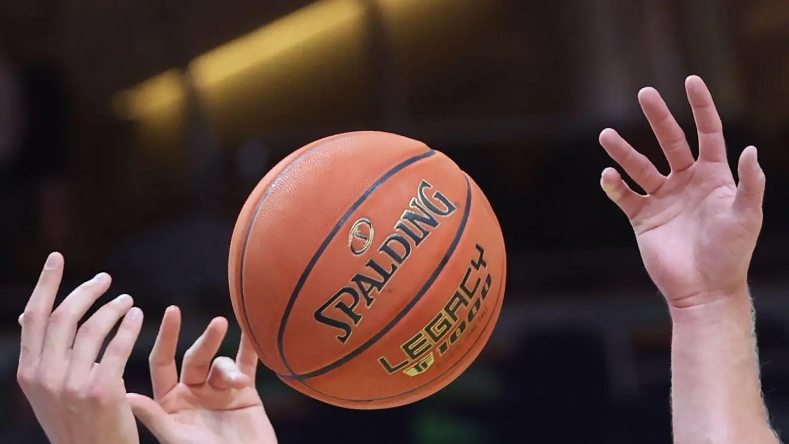 Ein Niederländer wird künftig die Basketballer in Bayreuth trainieren. (Symbolbild) (Foto: Christoph Soeder/dpa)