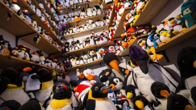 Das Museum besitzt nach eigenen Angaben die weltgrößte Sammlung von Pinguinfiguren. (Foto: Sina Schuldt/dpa)