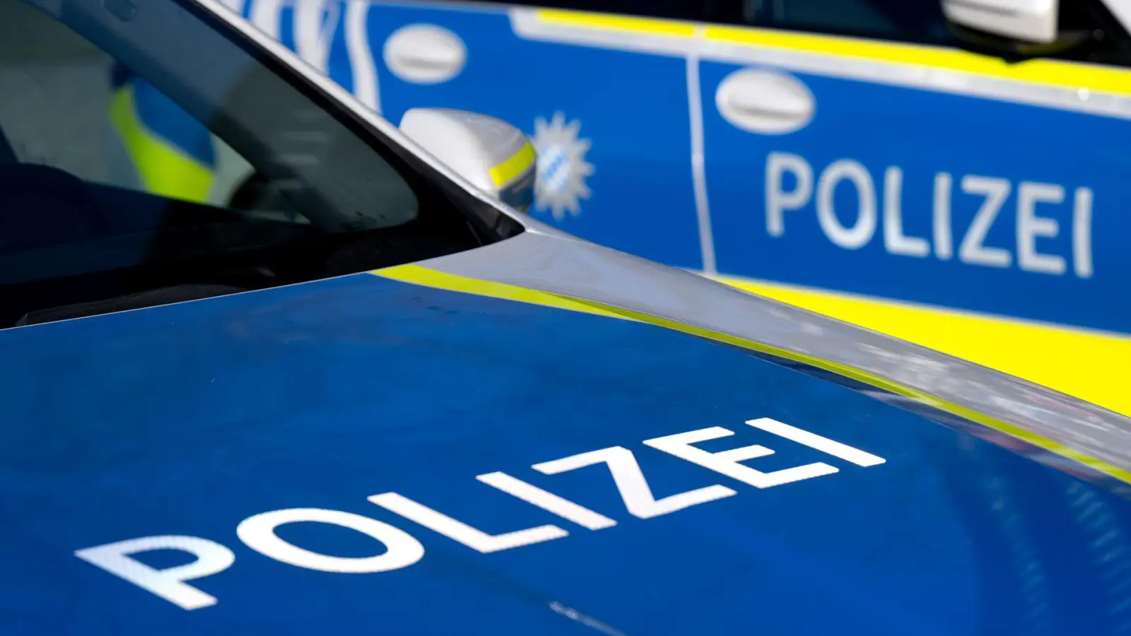 Die Polizei übergab die Welpen an ein Tierheim. (Symbolbild) (Foto: Sven Hoppe/dpa)