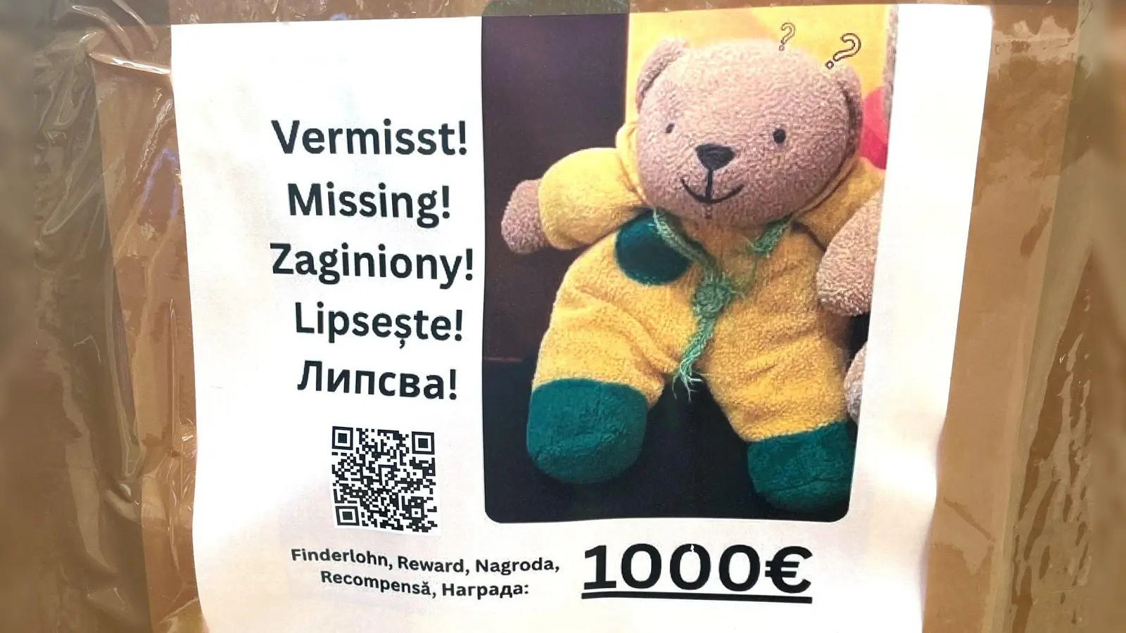 Ein Plakat zu einer Suchaktion. (Archivbild) (Foto: Christof Bock/dpa-Zentralbild/dpa)