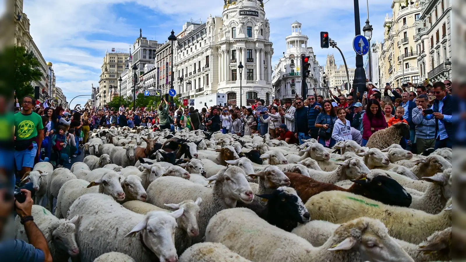Madrid feiert den Tag der Wanderschäferei mit ganz vielen Schafen. (Foto: Richard Zubelzu/ZUMA Press Wire/dpa)