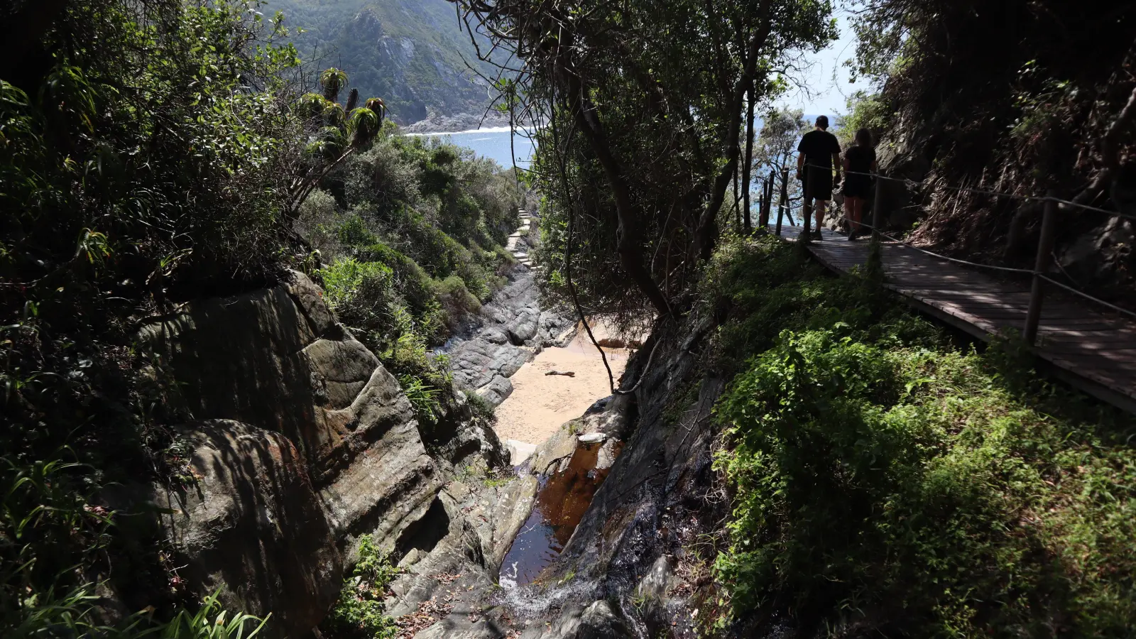 Der Tsitsikamma-Nationalpark liegt direkt am Indischen Ozean und bietet mehrere Wanderwege. Da geht es ganz schön rauf und runter.  (Foto: Gudrun Bayer)