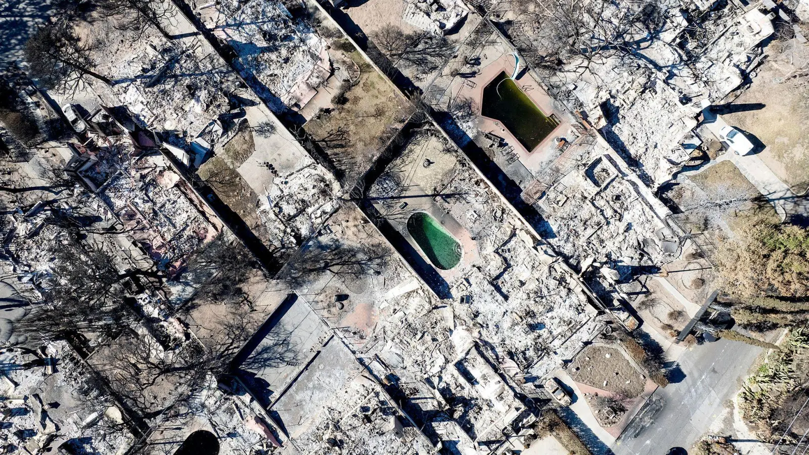 Der Bezirk Los Angeles verklagt den örtlichen Stromversorger. (Archivbild) (Foto: Noah Berger/FR34727 AP/AP/dpa)