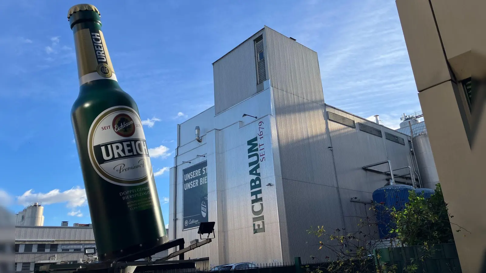 Eichbaum wird nun abgewickelt. (Archivbild) (Foto: Wolfgang Jung/dpa)