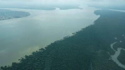 Durch den an die Millionenstadt Belém grenzenden Wald fließt der Fluss Guama. (Foto: Larissa Schwedes/dpa)