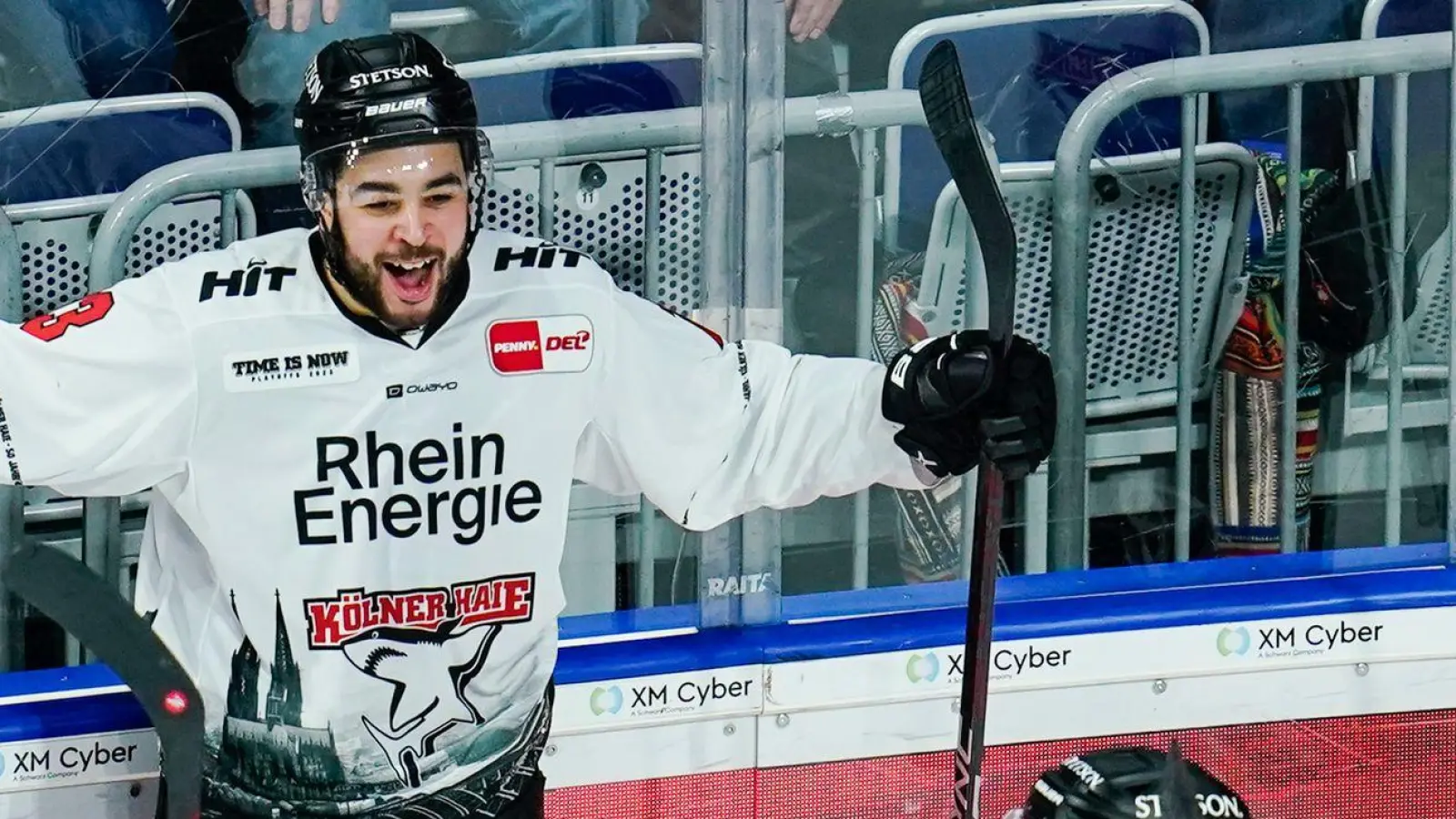 Spielte für Köln bereits in der DEL: Nicholas Baptiste. (Foto: Uwe Anspach/dpa)