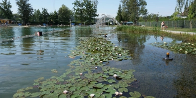 Das Waldstrandbad Windsbach bietet eine 100-Meter-Bahn für Schwimmer und viele Möglichkeiten für Kinder und Jugendliche von Rutsche über Sprungturm. (Foto: Andrea Walke)