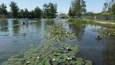 Das Waldstrandbad Windsbach bietet eine 100-Meter-Bahn für Schwimmer und viele Möglichkeiten für Kinder und Jugendliche von Rutsche über Sprungturm. (Foto: Andrea Walke)