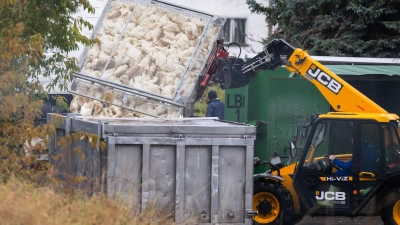 Unzählige Gänse und Enten mussten aufgrund des Vogelgrippe-Ausbruchs in Agrarbetrieben bereits getötet werden.  (Archivbild) (Foto: Christophe Gateau/dpa)