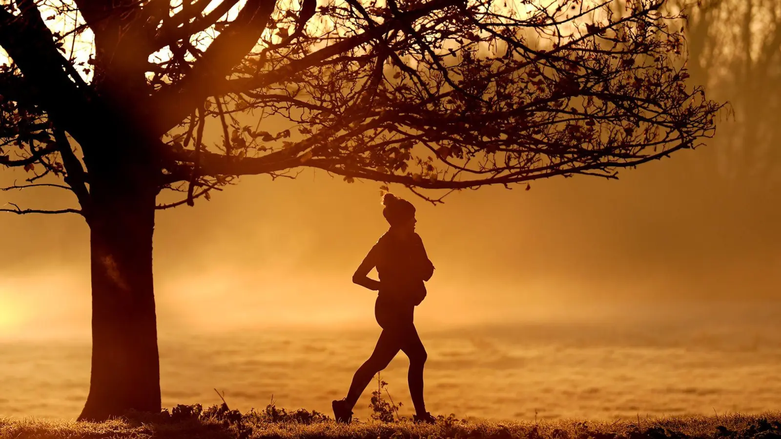 Auch die Herbstmonate 2024 waren laut ersten Prognosen zu warm (Foto aktuell). (Foto: Joe Giddens/PA Wire/dpa)