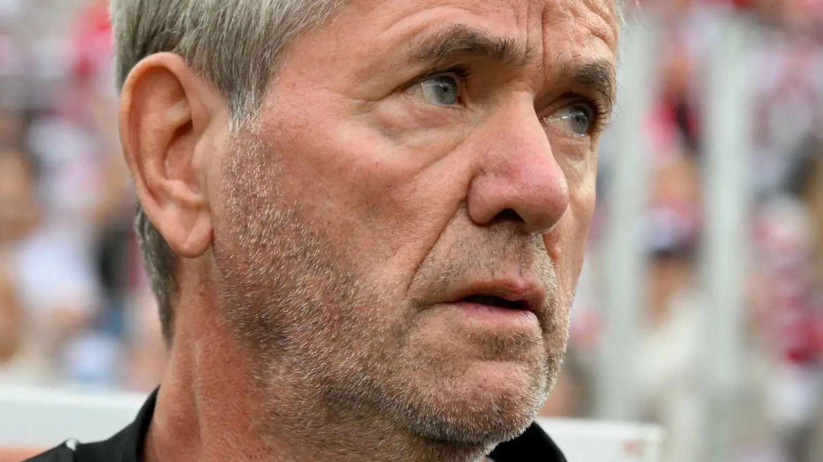 Soll laut Sky nicht als Köln-Trainer weitermachen: Friedhelm Funkel. (Foto: Federico Gambarini/dpa)