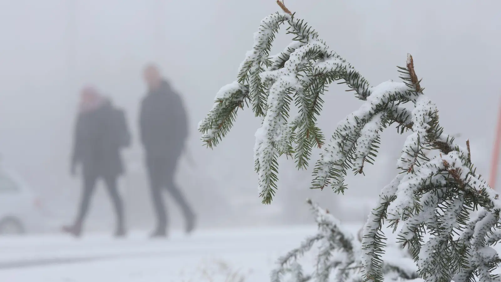 In den Mittelgebirgen wie dem Harz wird am Mittwoch Neuschnee erwartet. (Foto: Matthias Bein/dpa)