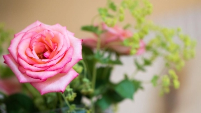 Blumenstrauß als Aufmerksamkeit: Für Pollenallergiker sind Sorten wie Rosen geeignet. (Foto: Franziska Gabbert/dpa-tmn)