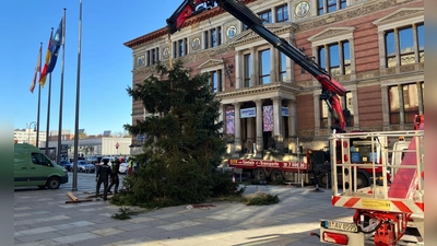 Pannen mit Weihnachtsbäumen sind in Berlin keine Seltenheit.  (Foto: Stefan Kruse/-/dpa)