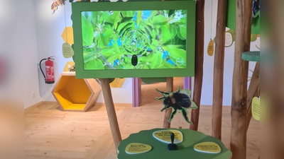 Mit dem Joystick wird die Biene gesteuert. Sie soll möglichst viele Blüten bestäuben. (Foto: Anna Franck)