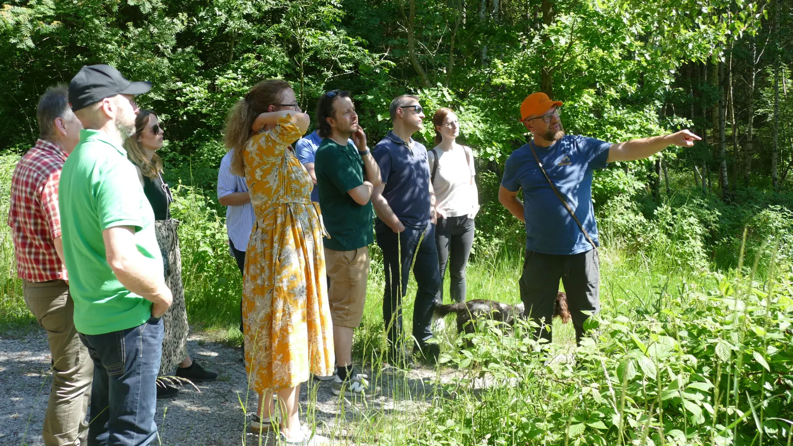 Die Grüne Sitzung führte in Burgbernheim diesmal in den Wald. (Foto: Helmut Meixner)