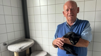 Die junge Katze aus dem Tierheim schaut neugierig in die Kamera. Sie gehört zu den 353 Katzen, die in diesem Jahr bislang in dem Domizil wohnten. So berichtet es dessen Chef Günter Pfisterer. (Foto: Oliver Herbst)