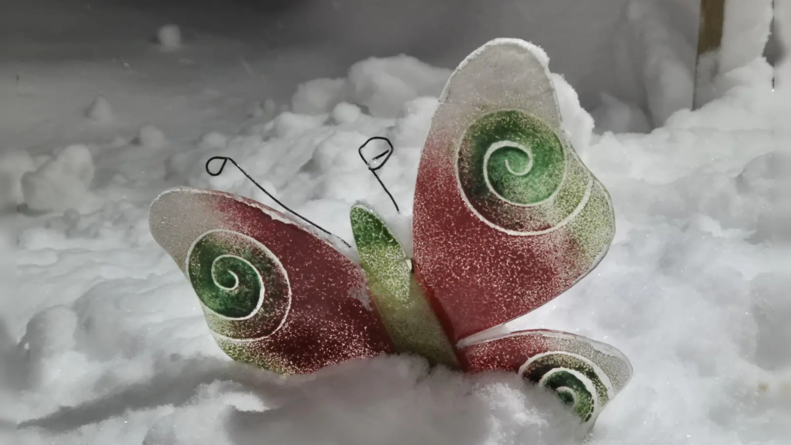 Ein Schmetterling geht unter. Schneebilder aus Neustadt an der Aisch. (Foto: Ute Niephaus)
