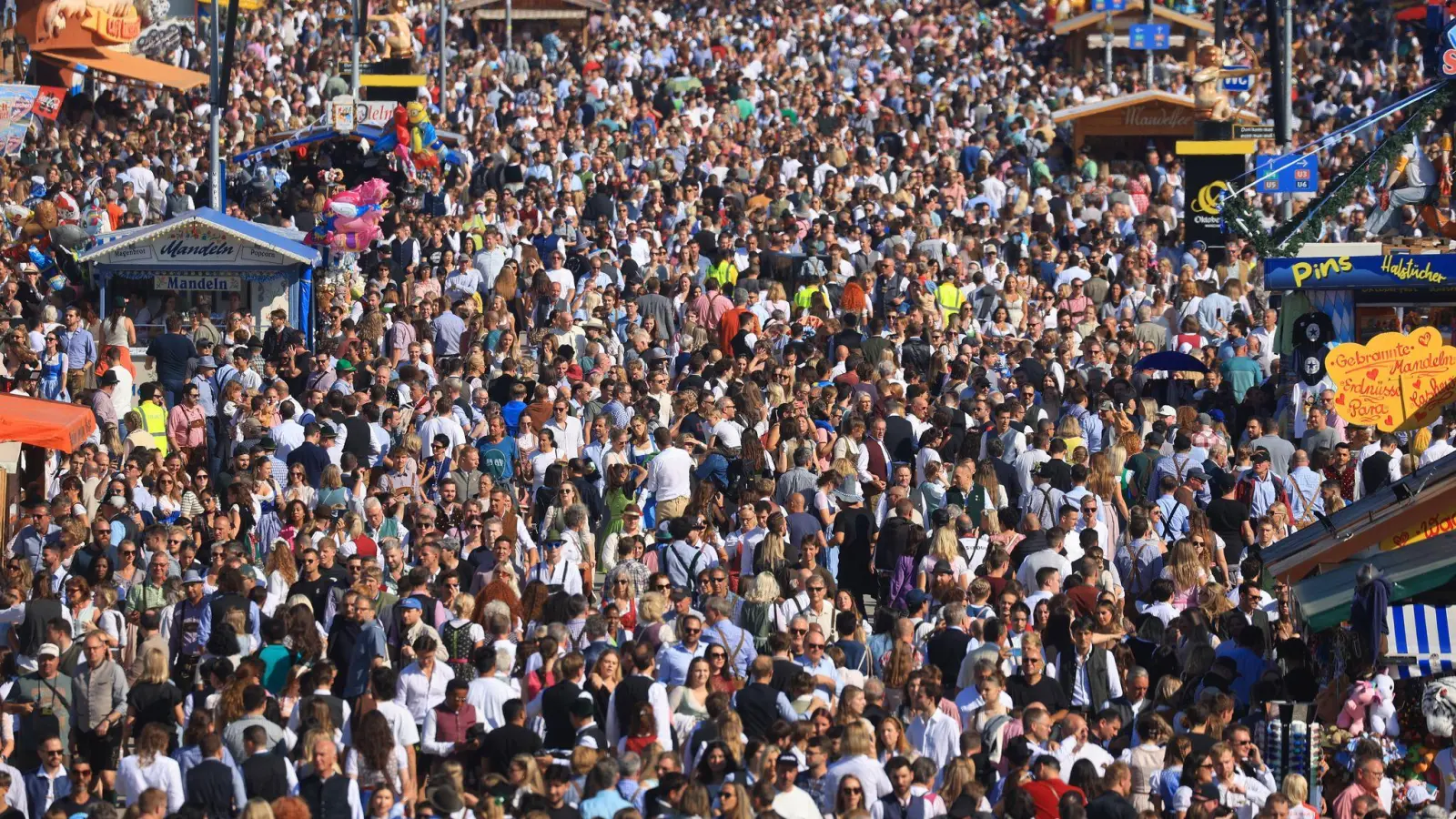 Dichtes Gedränge am Samstagnachmittag auf dem Oktoberfest. (Foto: Karl-Josef Hildenbrand/dpa)