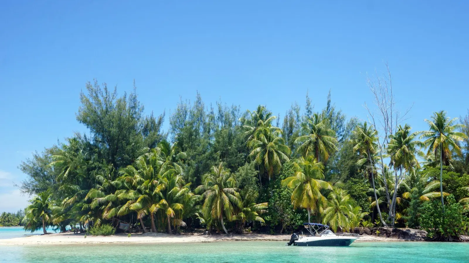 Sehnsucht nach Südsee: Weiter weg als nach Bora-Bora geht es von Deutschland aus kaum. (Foto: Philipp Laage/dpa-tmn)