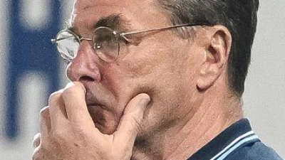 Dieter Hecking bleibt auch im Abstiegsfall. (Foto: Harry Langer/dpa)