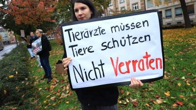 Die frühere amtliche Tierärztin hatte vor Gericht gestanden, den Schlachthof vor den Kontrollen gewarnt zu haben.  (Foto: Karl-Josef Hildenbrand/dpa)