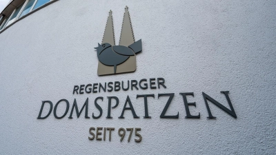 Der Kläger war früher bei den Domspatzen. (Archivbild) (Foto: Armin Weigel/dpa)