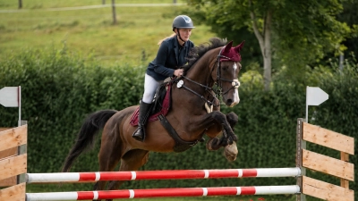 Das Reitturnier des Fahr- und Reitvereins ist mittlerweile über die Stadtgrenzen hinaus bekannt und ein Aushängeschild für Uffenheim. Aber wie viel sollte die Stadt hierfür fördern? Dieses Foto stammt von einem anderen Turnier. (Symbolbild: Christina Müller)