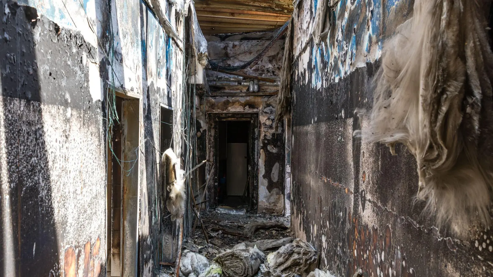 In den Jahren 2024 und 2025 sollen mutmaßliche Mitglieder einer rechtsterroristischen Gruppe mehrere Anschläge verübt haben, unter anderem auf ein Kulturhaus in Altdöbern. (Archivbild) (Foto: Frank Hammerschmidt/dpa)