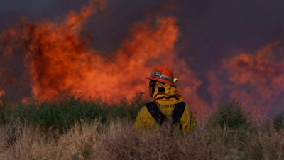 Kampf gegen die Flammen in Kalifornien (Archivbild). (Foto: Eric Thayer/AP/dpa)
