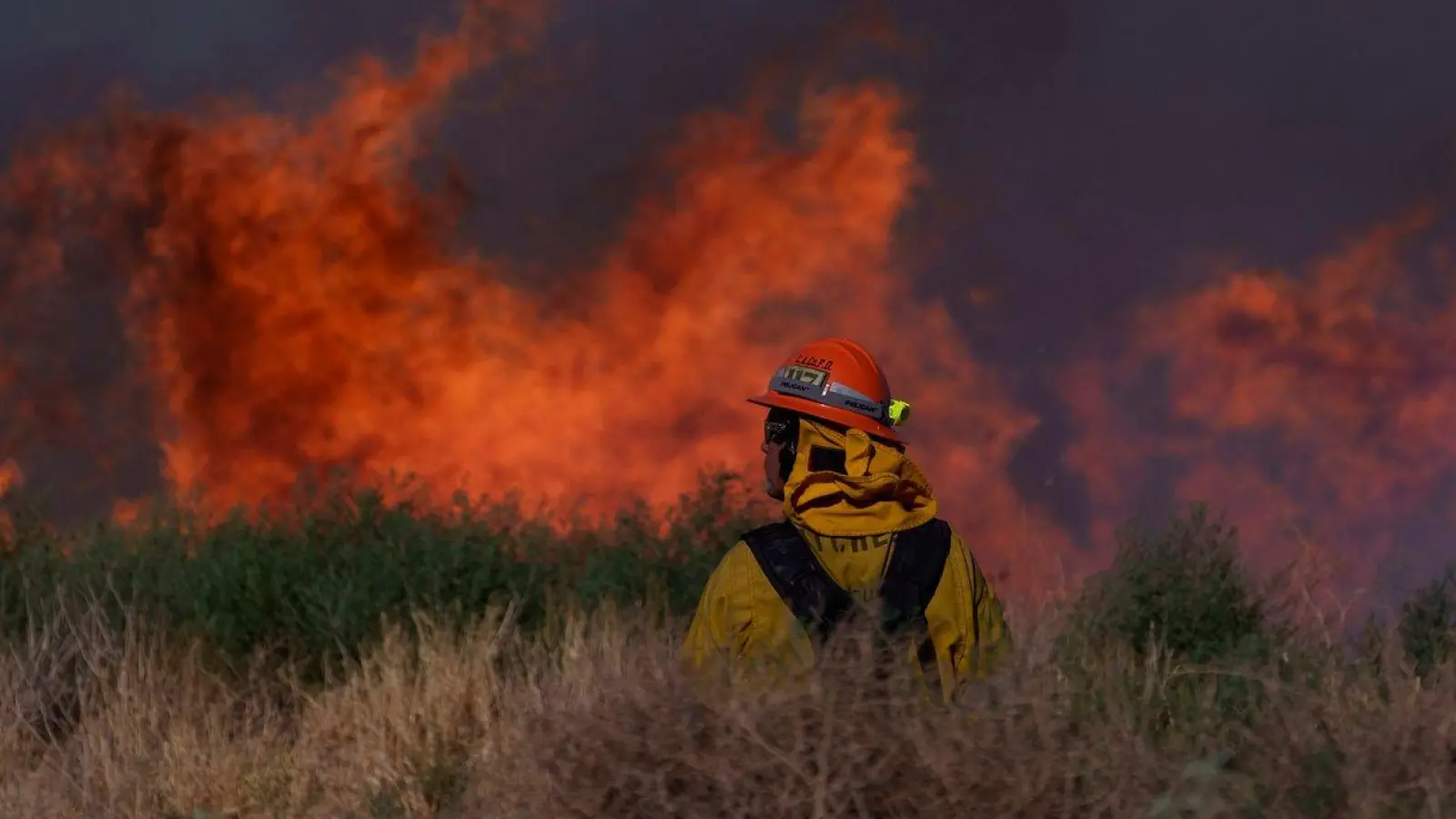 Kampf gegen die Flammen in Kalifornien (Archivbild). (Foto: Eric Thayer/AP/dpa)