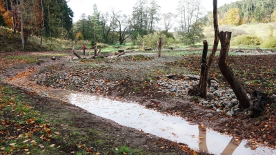 Die drei Gemeinden Markt Erlbach, Emskirchen und Hagenbüchach haben an der Aurach beim Erlbacher Ortsteil Holzmühle eine 1,55 Hektar große Ökoausgleichsfläche gestalten lassen. Bei einer kleinen Feierstunde stellte Markt Erlbachs Bürgermeisterin Dr. Birgit Kreß die lange Entwicklungszeit in den Mittelpunkt ihrer Rede.  (Foto: Heinz Wraneschitz)