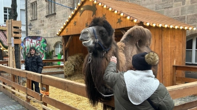 Im vergangenen Jahr war die lebende Krippe durchaus ein Besuchermagnet des Ansbacher Weihnachtsmarktes. Das soll sie auch in diesem Jahr werden, allerdings an einem anderen Ort. (Foto: Florian Pöhlmann)