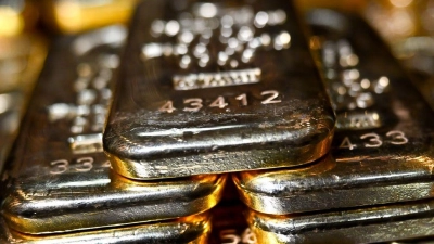 „Happy End auf beiden Seiten“ nach dem Fund eines Goldbarrens in einem Geheimversteck. (Symbolbild) (Foto: Sven Hoppe/dpa)