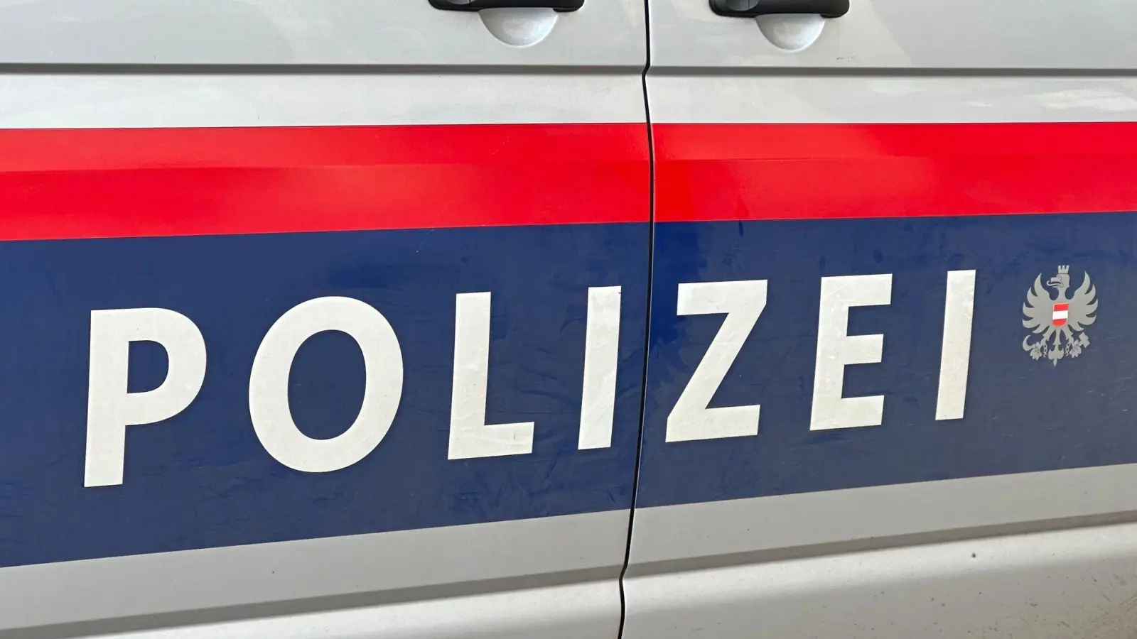 Laut Polizei war der Gleitschirmflieger zu tief unterwegs. (Symbolbild) (Foto: Matthias Röder/dpa)