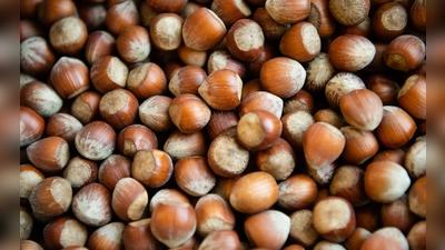 Die Haselsnussernte ist in Italien so schlecht ausgefallen wie seit Jahrzehnten nicht mehr. (Archivbild) (Foto: Lisa Ducret/dpa)