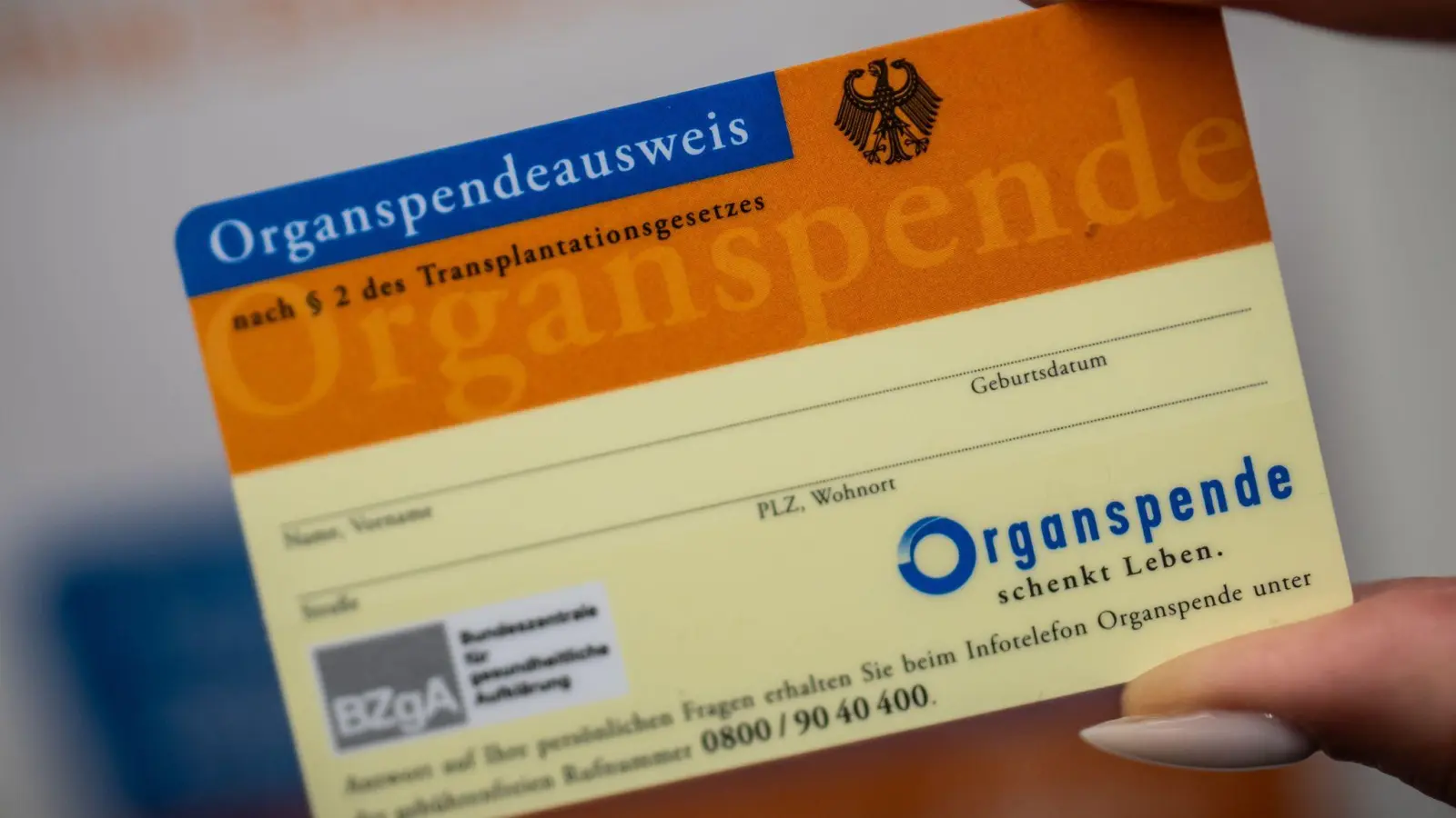 Ein Organspende-Ausweis dokumentiert die Entscheidung. (Archivbild) (Foto: Michael Kappeler/dpa)